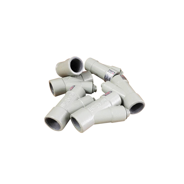 BAG系列防爆隔离密封盒